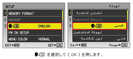 ㉺{^ĕ\ACRIAOK{^܂B