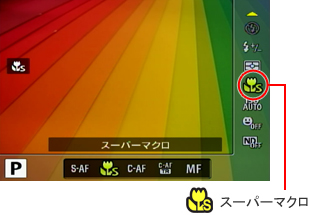 X[p[}N