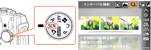 [h_C[SCN]ɃZbgATu[h[C^[oBe]