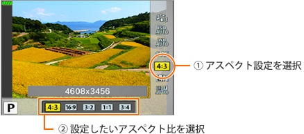 4000x3000 pimpandhost ИМГ a imageshare 006617]画像のアスペクト比 (縦横比) を変えて撮影できますか。(E-PL9) | OMデジタルソリューションズ