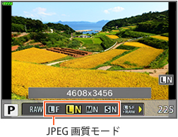 JPEG掿[h