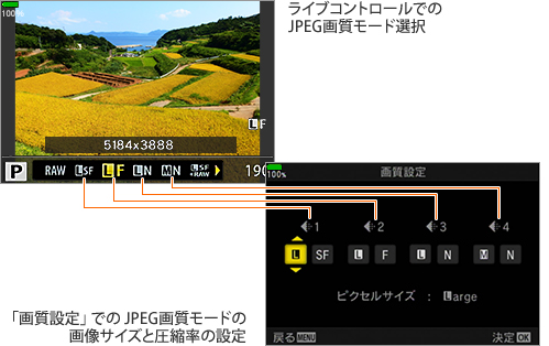 JPEG�掿���[�h