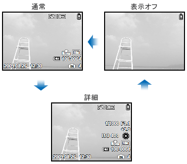 確認画面 2022 Kawasaki Ninja ZX-10R | ECU FLASH Screen Blinking FIXED