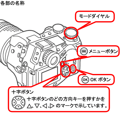 時計設定 y m コレクション d