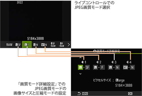 JPEG掿[h